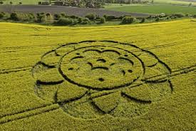 Image result for crop circle