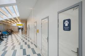 Картинки по запросу выполненное в цвете рельефное изображение пассажирского среднемагистрального лайнера