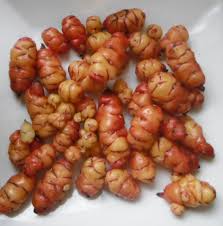 Attēlu rezultāti vaicājumam “Lathyrus tuberosus leaf”