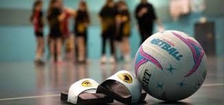 Image result for Ecs Predators Netball Club