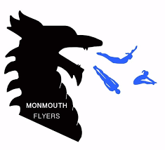 Image result for Abbey Flyers Trampoline Club