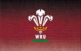 Image result for Rugby Welsh R F C
