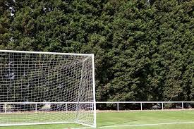 Image result for Mill Hill Sports Club