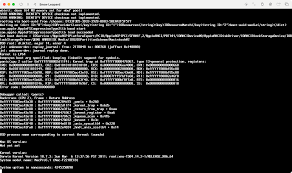 Image result for kernel panic snow leopard