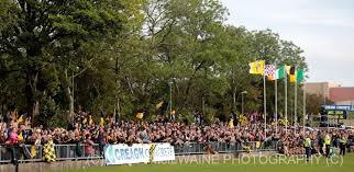 Image result for Mcquillan Gac