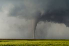 Image result for Tadcaster Tornadoes
