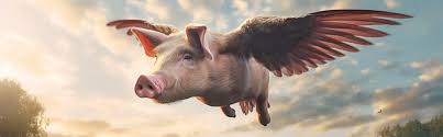 Image result for flying pigs