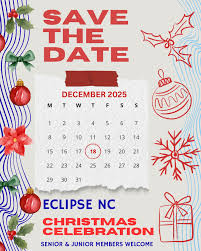 Image result for Fm Eclipse Netball Club