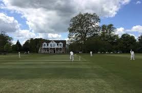 Image result for North Perrott Cc