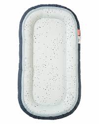 Attēlu rezultāti vaicājumam “Diaperis boleti nest”