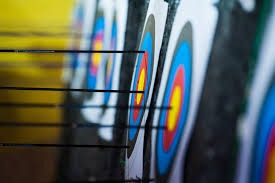 Image result for Blue Arrows Archery Club