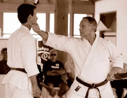Image result for Bowerham Shotokan Karate Club