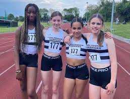 Image result for Cheltenham and County Harriers