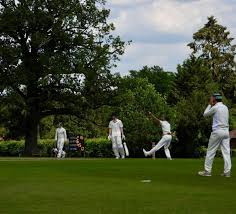 Image result for Cranleigh St Andrews Cricket Club