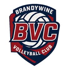 Image result for Bournside Volleyball Club