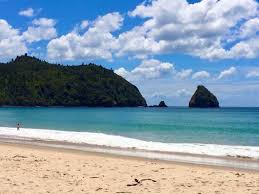 Image result for new chums beach