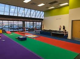 Image result for Gym Tots