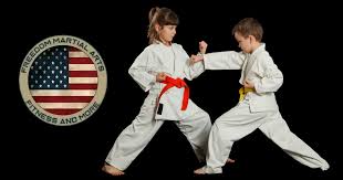 Image result for Freedom Martial Arts