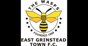 Image result for East Grinstead Town Football Club
