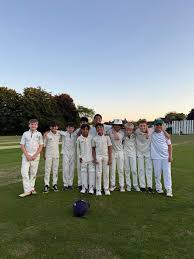 Image result for Boyne Hill Cricket Club