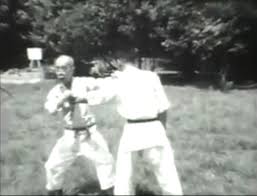 Image result for Central London Ninjutsu