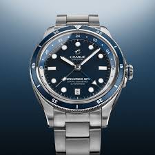 Image result for GMT watch