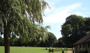 Image result for Frimley