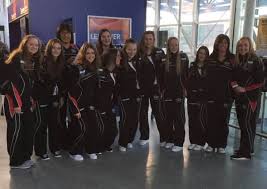 Image result for The Angels Netball Club