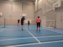 Image result for Basingstoke Racketeers Badminton Club