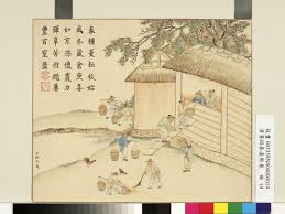 Image result for 春粒