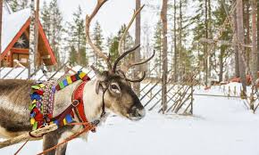 Image result for Laplandit-(Ce)