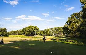 Image result for Roebuck Bowling Club