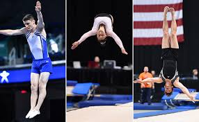 Image result for White Rose Trampoline Academy