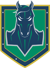 Image result for Stockton Ladies Hockey Club