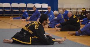 Image result for southern academy choi kwang do
