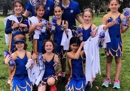 Image result for Netball United