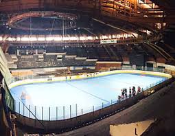 Image result for Ealing Eagles Ball Hockey Club