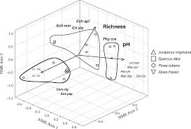 Attēlu rezultāti vaicājumam “Badhamiopsis ainoae”