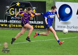 Image result for Carryduff Gaelic Athletic Club