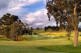 Image result for Henley Golf Club