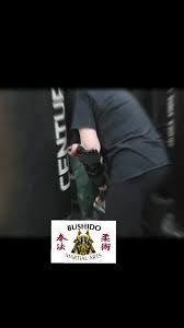 Image result for Villatoro Bushido Martial Arts