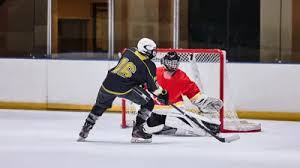 Image result for Kingston Ice Dance Club