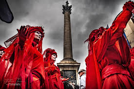 Image result for Reddish Rebels