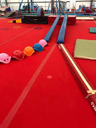 Image result for Swallows Trampoline Club