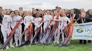 Image result for Celtic Crusaders