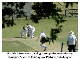 Image result for Wembdon Cricket Club