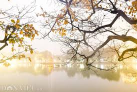 Kết quả hình ảnh cho hinh anh