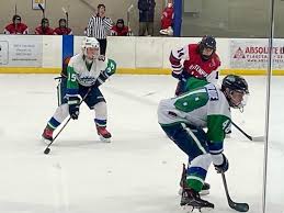 Image result for Ash Avalanche Skater Hockey Club