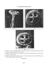 Attēlu rezultāti vaicājumam “Cribraria martinii”