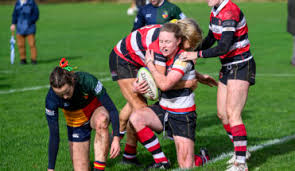 Image result for Edinburgh Bats Rugby